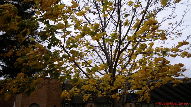 Hurricane sandy ontario_ winds