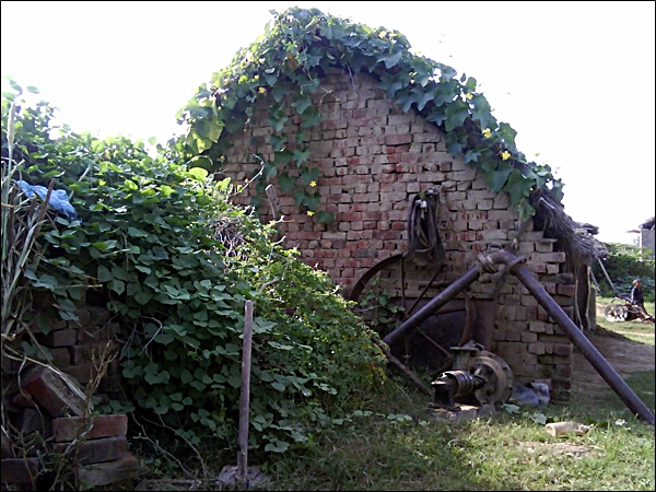 Huts in the village