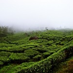 munnar mntravelog